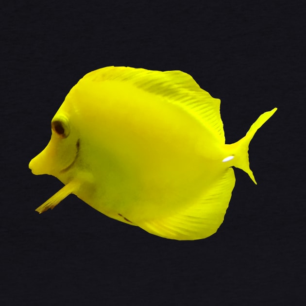 Fish - Yellow Tang by SusanSavad